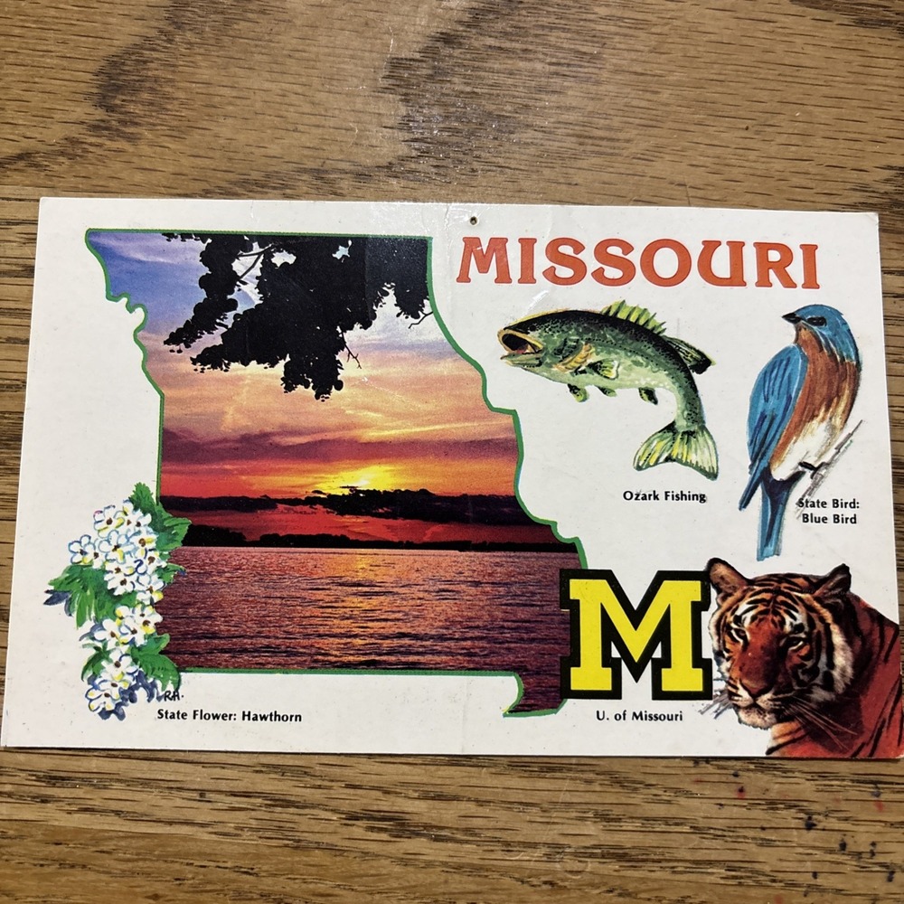 Missouri-The Cave State- The Show Me State Postcard